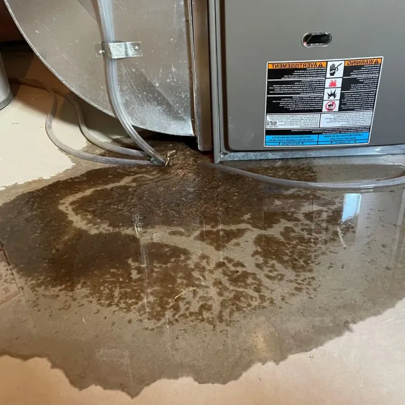 Pipe Burst and Leak Restoration in Vicksburg, MS