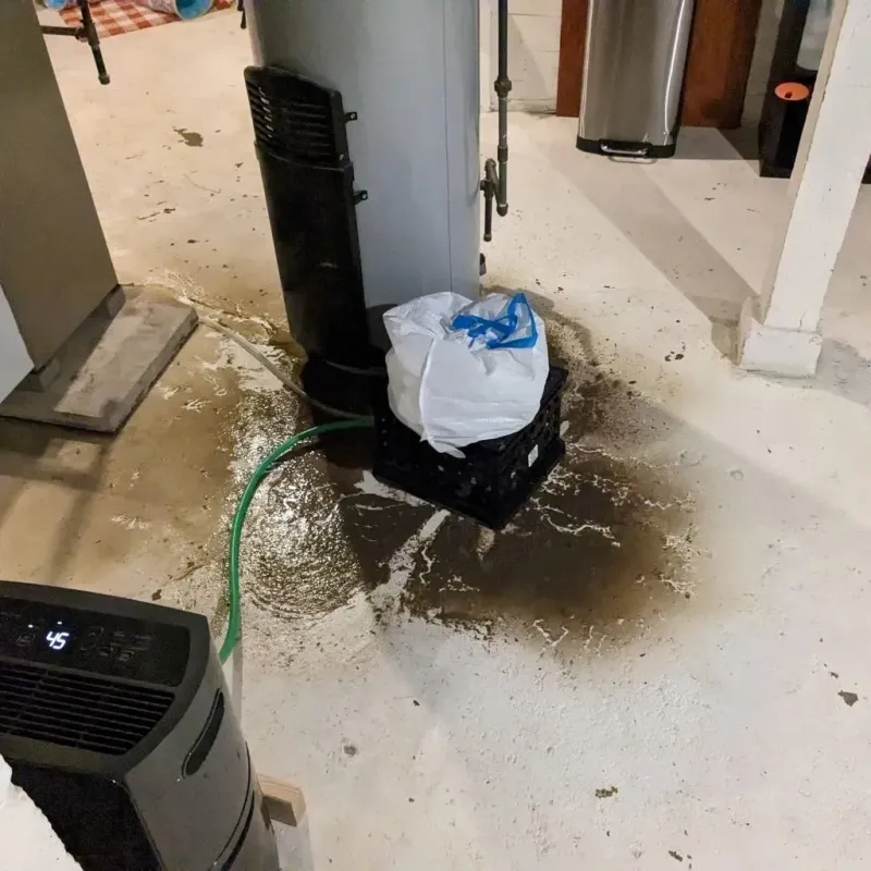 Sewage Backup Cleanup Service in Vicksburg, MS